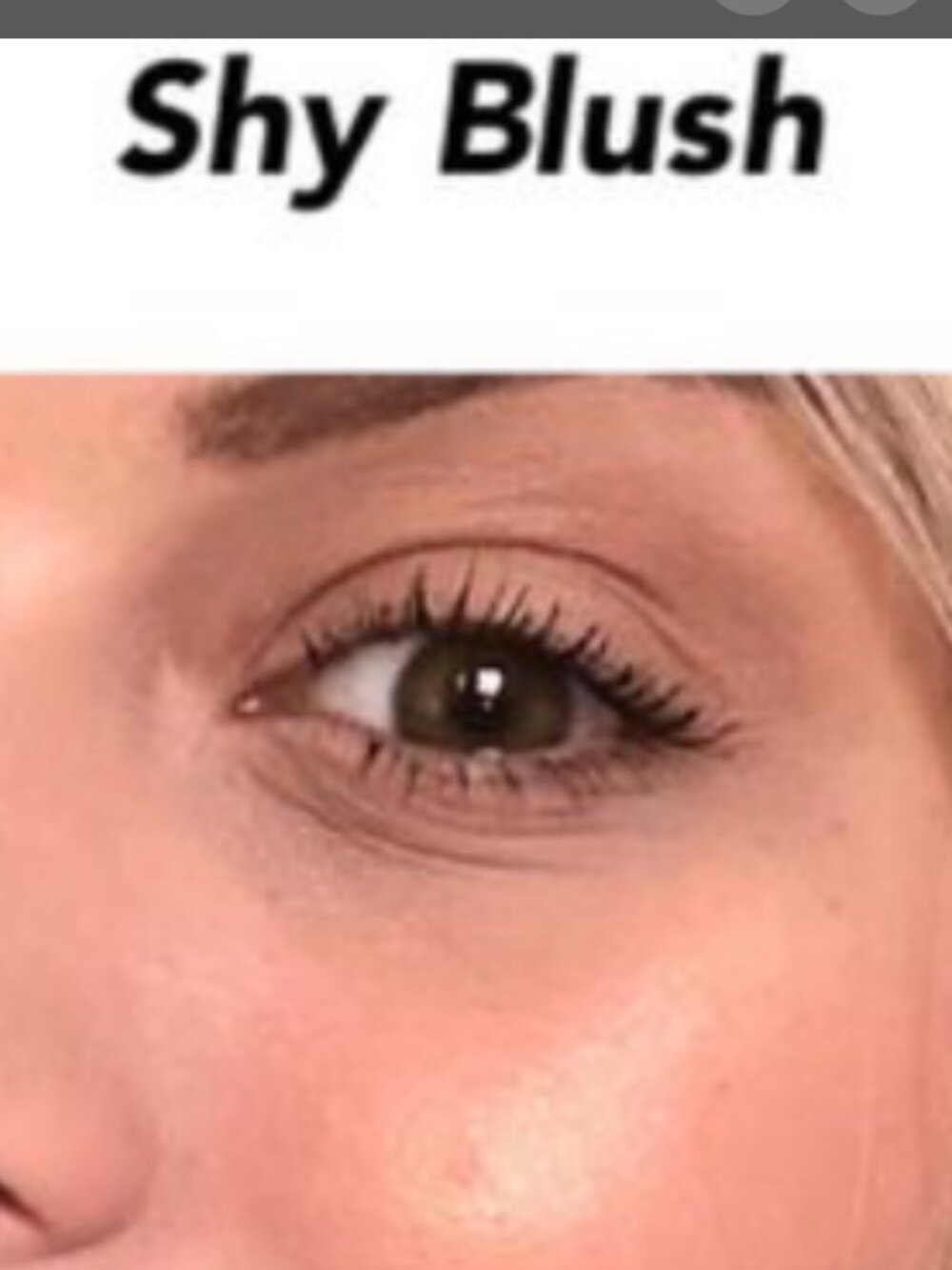 Mary Kay Shy Blush Cheek Color